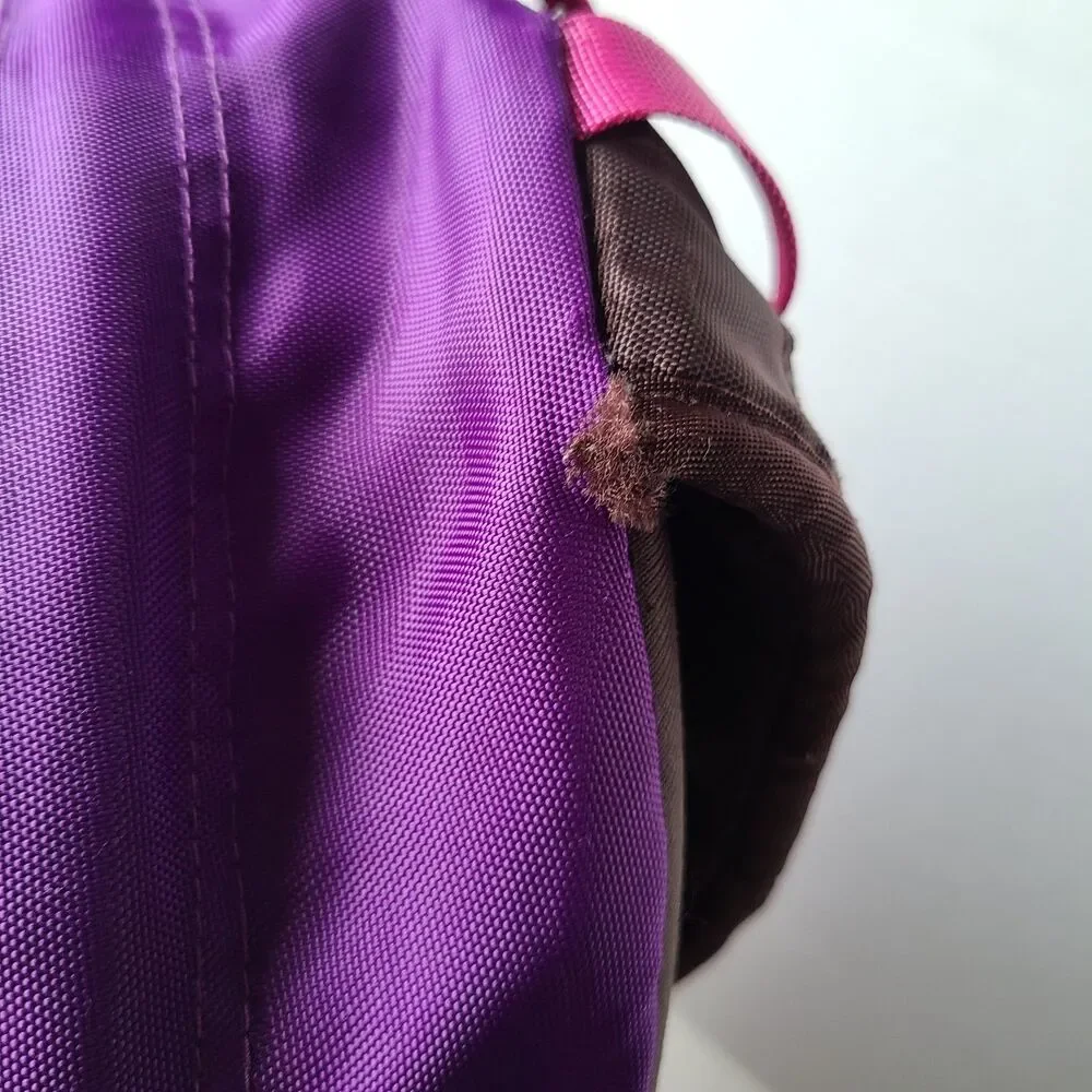 The North Face Jester Backpack Purple Brown Pink School Hiking Book Bag Pack